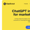 gapscout.com