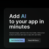 tryleap.ai