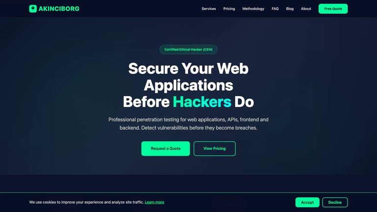 Akinciborg Security website homepage screenshot