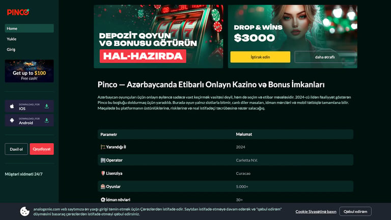 Analogenie website homepage screenshot