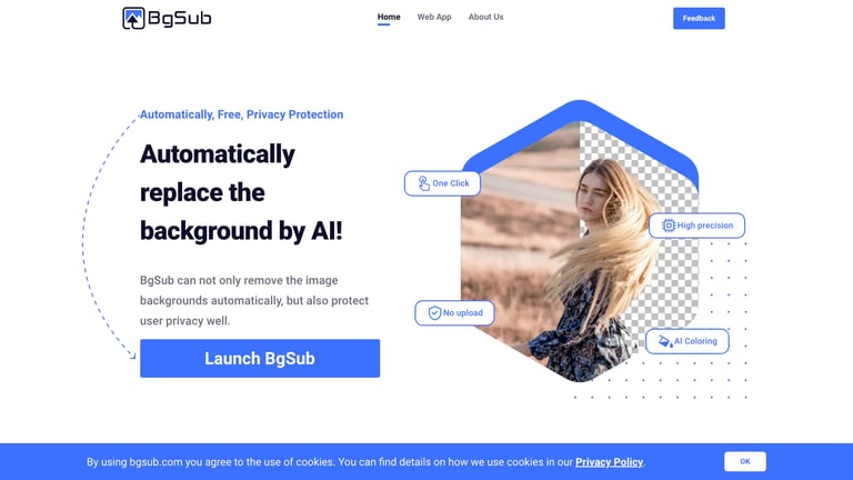BgSub website homepage screenshot