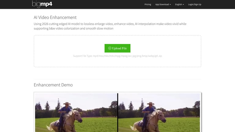 bigMP4 website homepage screenshot