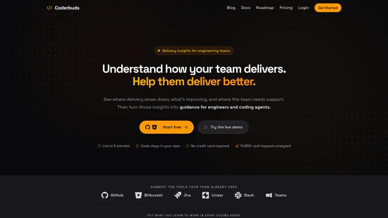 Coderbuds website homepage screenshot