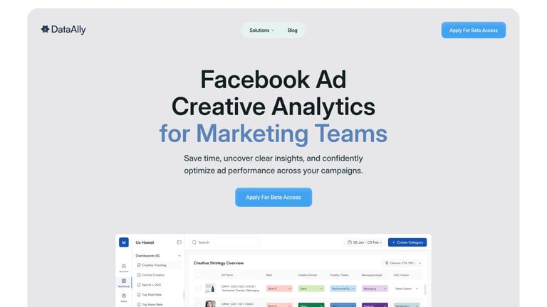 DataAlly website homepage screenshot