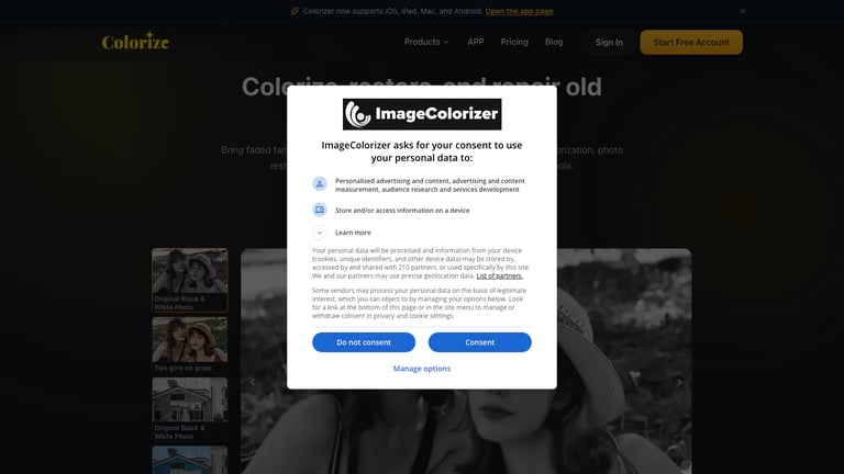 ImageColorizer website homepage screenshot