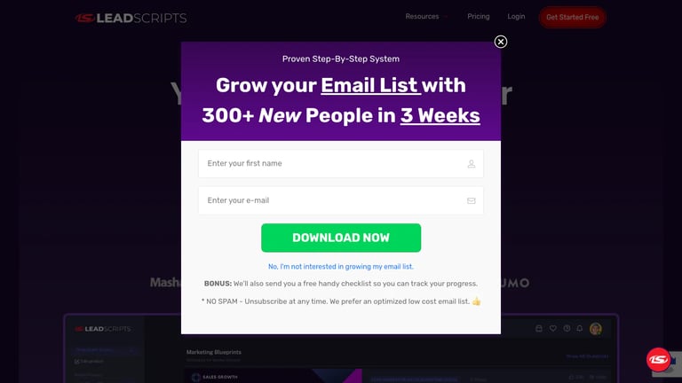 LeadScripts website homepage screenshot