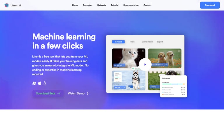 Liner website homepage screenshot