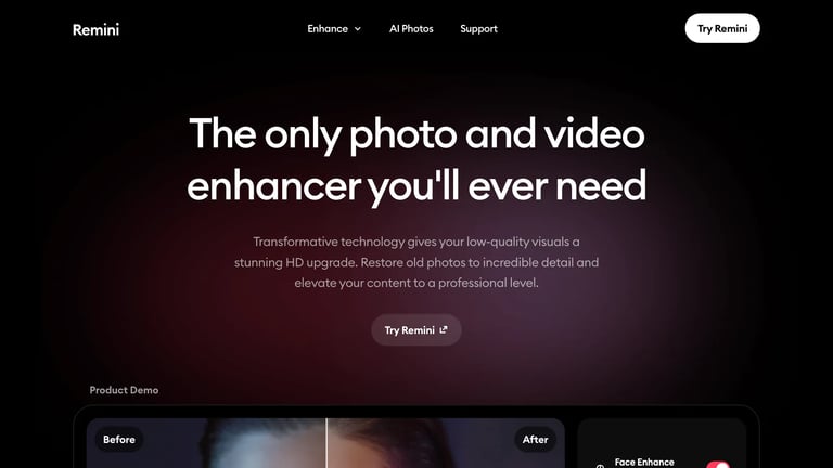 Remini website homepage screenshot